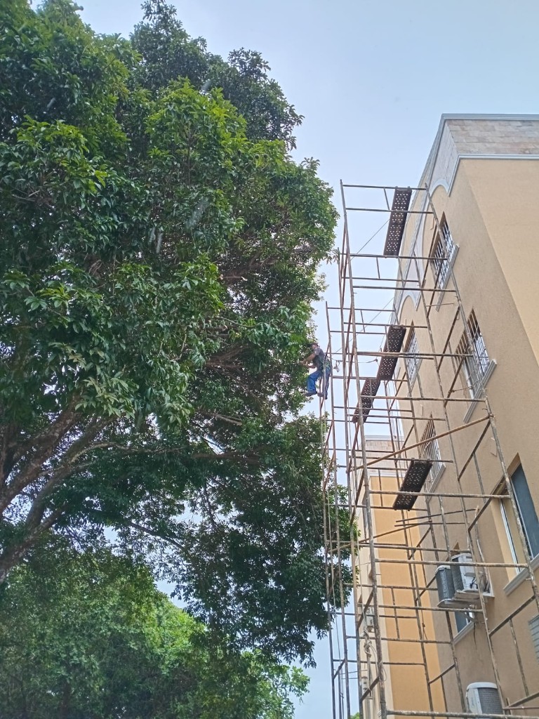 Pintura em Edifício